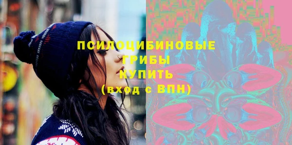 мдпв Балахна