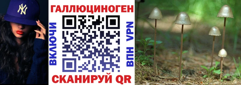 Псилоцибиновые грибы MAGIC MUSHROOMS  как найти   Болгар 